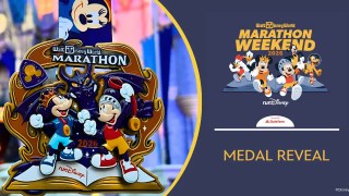 wdwmedalblogheader-320x180.